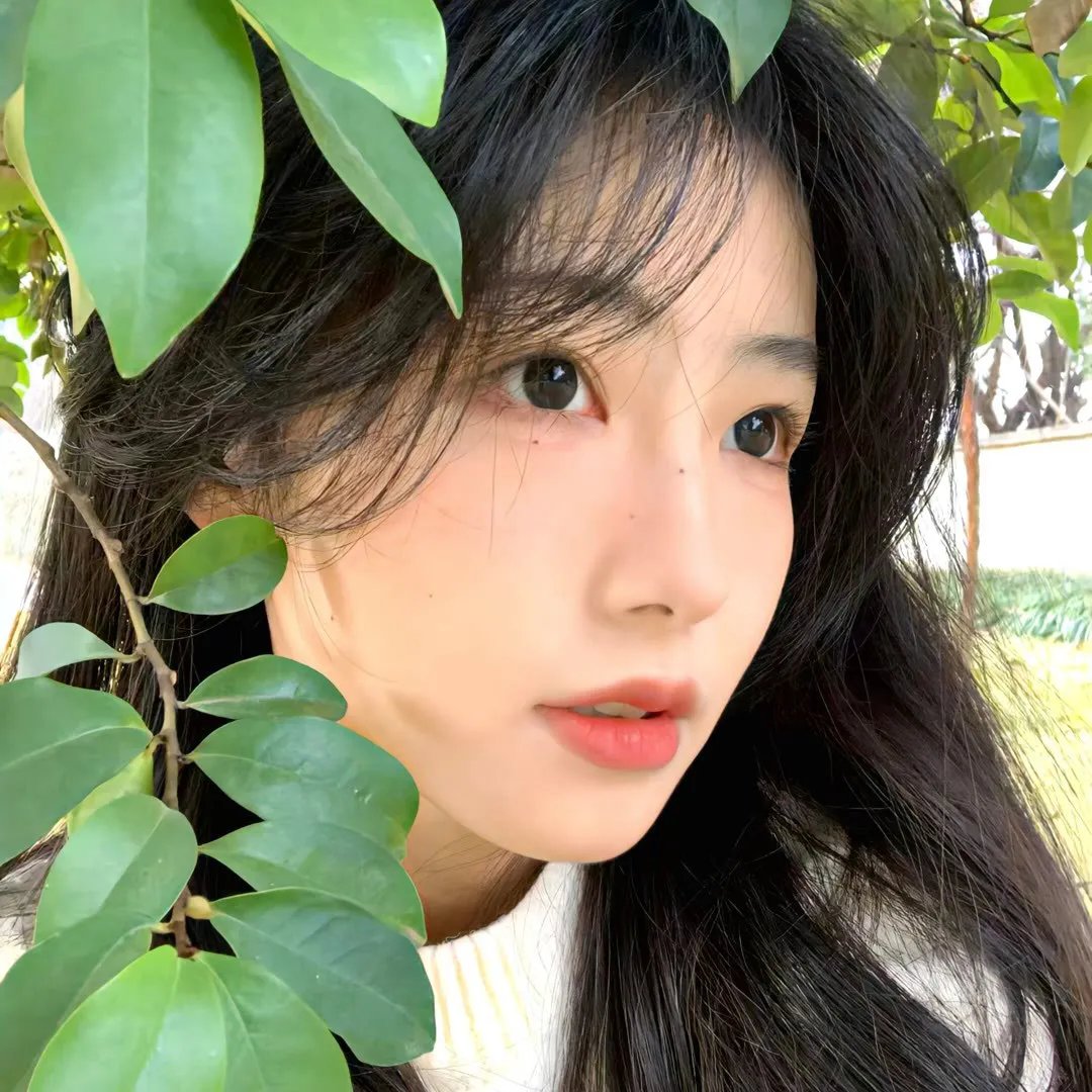 来自中国的熊猫